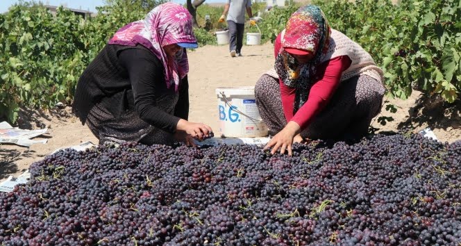 İstanbul Valiliği’nden düğünlere ilişkin yeni kararlar