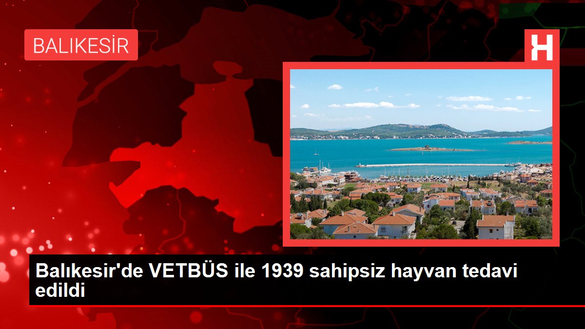 Balıkesir haberleri… Balıkesir’de VETBÜS ile 1939 sahipsiz hayvan tedavi edildi