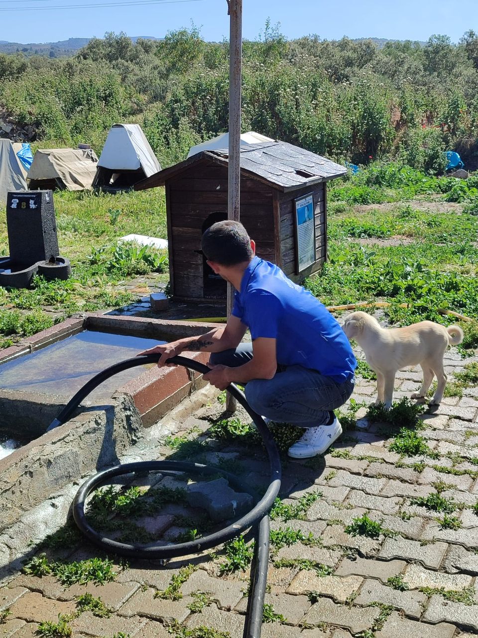 Edremit Belediyesi Temizlik Ekipleri Kentin Çeşitli Noktalarında Temizlik Çalışmaları Yürütüyor