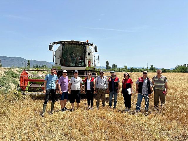 Biçerdöver Hasat Kontrolleri ve Anız Yangınlarına Karşı Denetimler Aralıksız Devam Ediyor