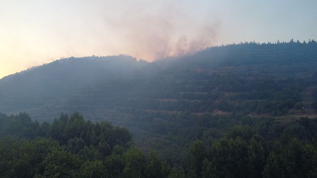 Susurluk’ta Çaylak Mesire Alanı’ndaki Yangın Kontrol Altına Alındı