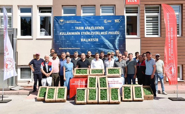 Balıkesir’de Üreticilere 212,000 Sebze Fidesi Dağıtıldı