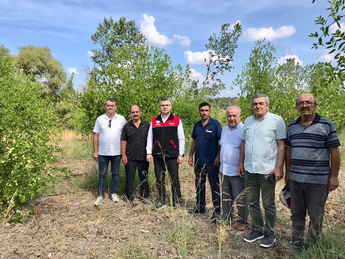 Balıkesir’de Hünnap Hasat Sezonu Başladı