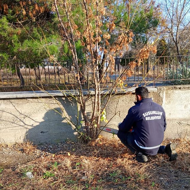 Susurluk’ta Parklarda Kapsamlı Düzenleme Çalışmaları