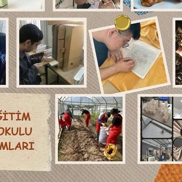 Özel Eğitim Meslek Okulları için Program Güncellemesi