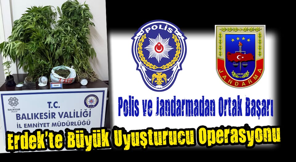 Erdek’te Büyük Uyuşturucu Operasyonu: Çiftlik Evinde Kenevir Yetiştirildi