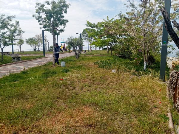 Marmara Adalar’da Yaşama Alanlarını İyileştirme Çalışmaları Sürüyor