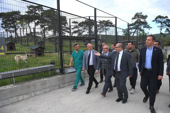 Balıkesir Valisi Ustaoğlu, İvrindi Sokak Hayvanları Bakım Evi’ni Ziyaret Etti