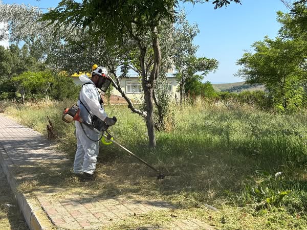 Bandırma’da Yazla Birlikte Yeşil Alan ve Çevre Sağlığına Odaklanıldı