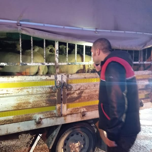 Gönen’de Kurban Bayramı Denetimleri Aralıksız Devam Ediyor