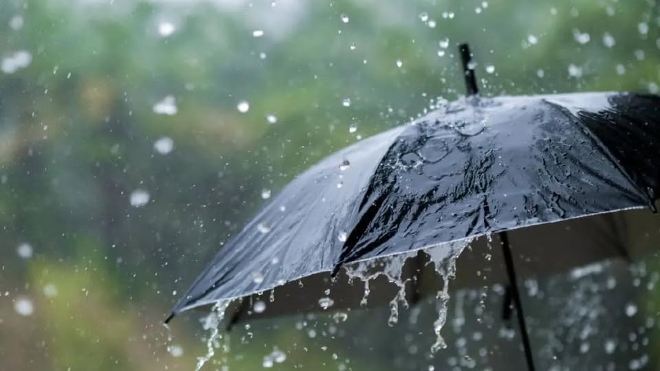 Marmara Bölgesi 65 Yılın En Kurak Haziran Ayını Geçirdi