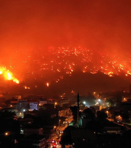 Türkiye’de Orman Yangınları: Bursa, Manisa, Çanakkale ve İzmir’de Alarm Durumu