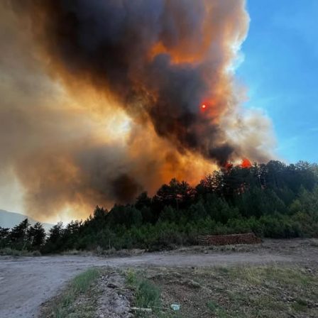 Balıkesir’de Kürendere Orman Yangınına Seferberlik: İtfaiye Ekipleri Sahada