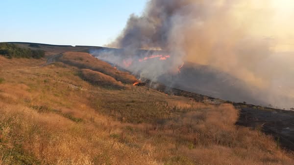 Bandırma OSB’de Arazi Yangını: Havadan ve Karadan Müdahale Devam Ediyor