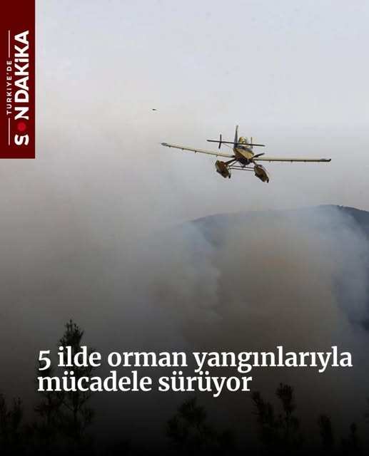 5 İlde Orman Yangınları Devam Ediyor: Karadan ve Havadan Müdahale Sürüyor