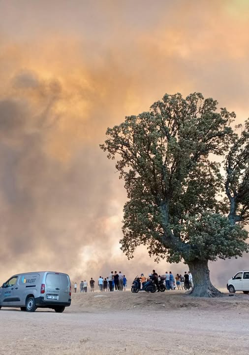 Çanakkale’de Yangın Felaketi: Ekipler Mücadele Veriyor