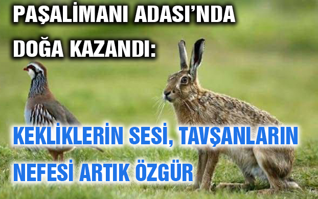 Paşalimanı Adası’nda Keklik ve Tavşan Avı Yasağı Getirildi