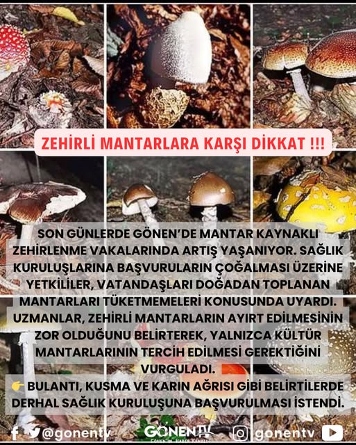 Gönen’de Mantar Zehirlenmesi Uyarısı
