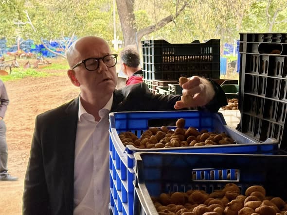 Havran’da Çiftçinin Zorlu Mücadelesi: İncir ve Zeytin Üreticileri Zor Durumda