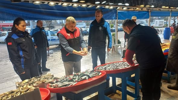 Bandırma Balık Halinde ‘Uskumru’ Adı Altında Kolyoz Satışı Yapıldığı Tespit Edildi